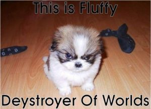 Fluffy-Destroyer-of-worlds