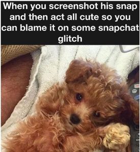 snapchat-screenshot-teddy-bear-puppy